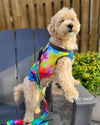 Tie-Dye Dog Cooling Vest cooling vest barkindustry 