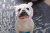 Cute Mouse Dog Bath Time Headband Bark Industry Light Pink 