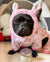Bunny Ears Dog Bath Time Headband Bark Industry Pink 